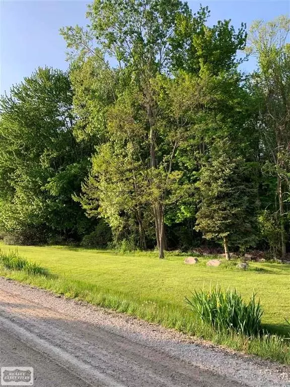 01 Vandy Street, Harrison Twp, MI 48080