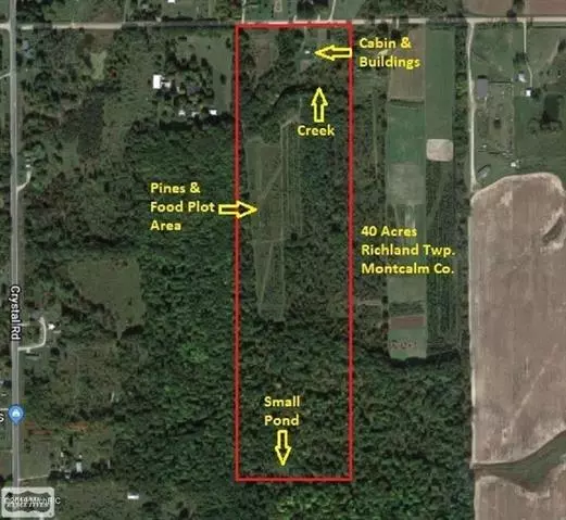 9324 E Edgar Road, Montcalm Twp, MI 48891