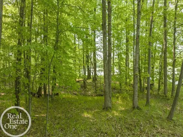 Orion Twp, MI 48362,00 Coats Road