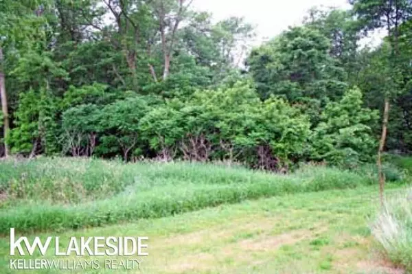 Lot 2 Sand Ridge, Mckinley Twp, MI 48755