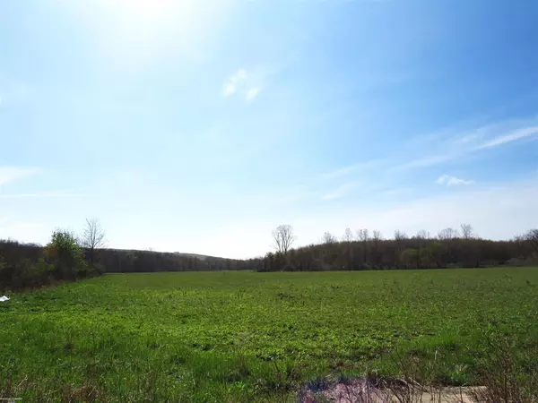 0 Gratiot Road, Lenox Twp, MI 48048