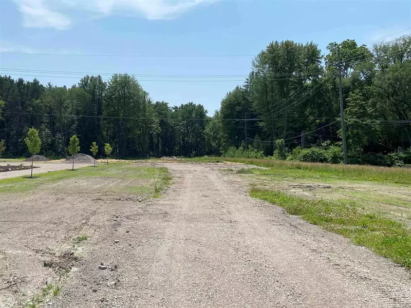 Vacant Pine Grove Road, Fort Gratiot Twp, MI 48059
