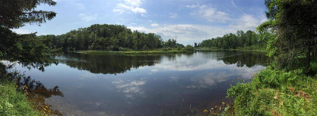 Maple Ridge Twp, MI 49707,4011 Sandall Road