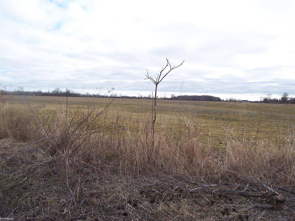Lot E Stoddard Rd Road,  Columbus Twp,  MI 48063
