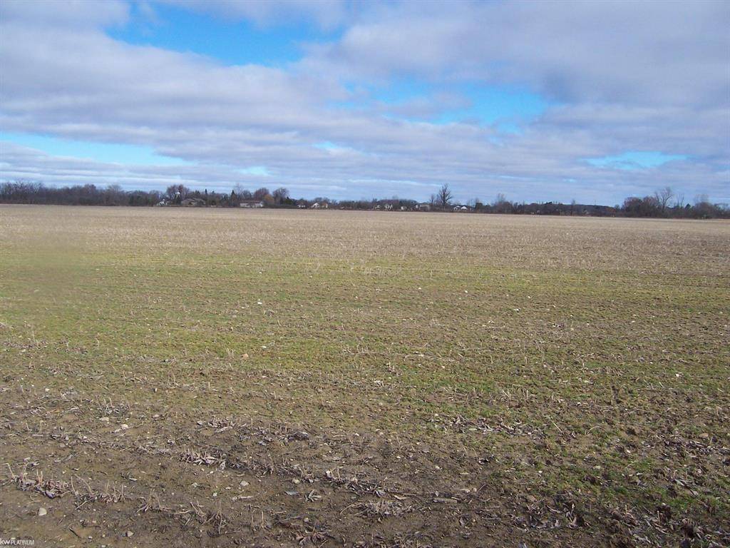 Lot H Carroll Rd Road, Columbus Twp, MI 48063
