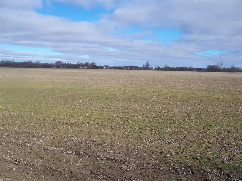 Lot H Carroll Rd Road, Columbus Twp, MI 48063