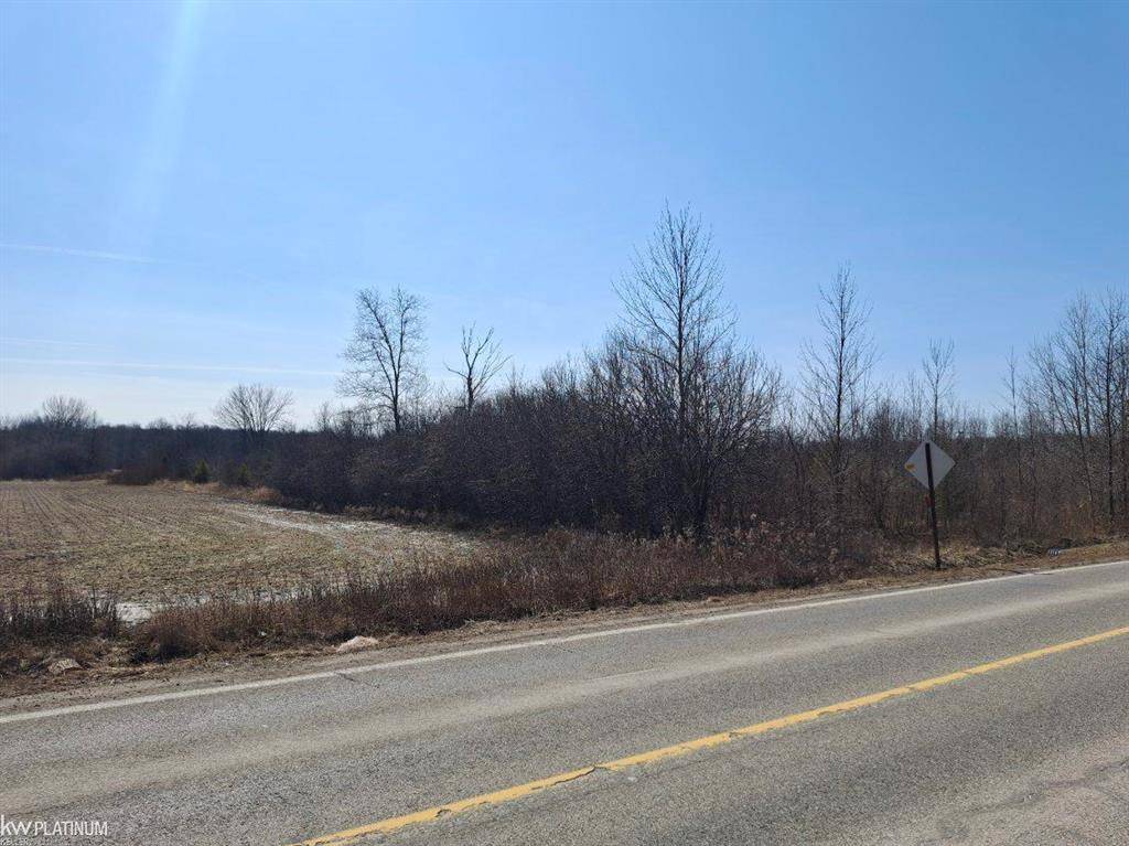 00 Yale Road, Brockway Twp, MI 48097