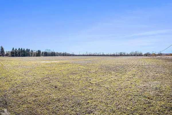 Casco Twp, MI 48064,00 Meisner Parcel C Road
