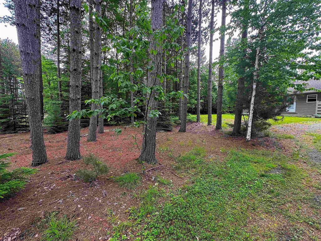 Bay Mills Twp, MI 49715,6895 W Winding Ridge Road