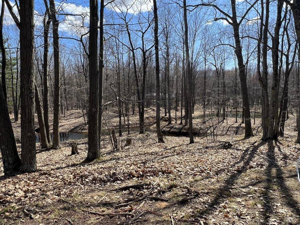 2002 Klender Road, Bentley Twp, MI 48613