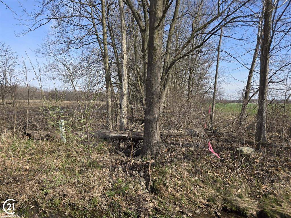 Columbus Twp, MI 48063,0 Meskill (Lot C) Road
