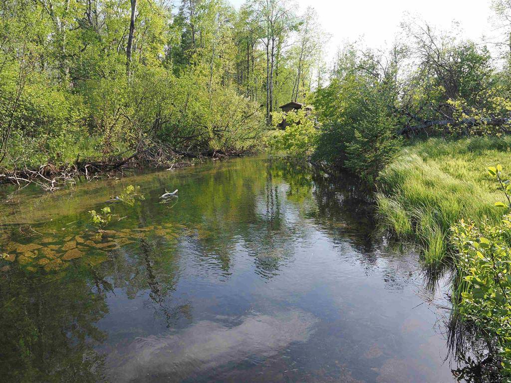 Briley Twp, MI 49709,12557 Joseph Lane