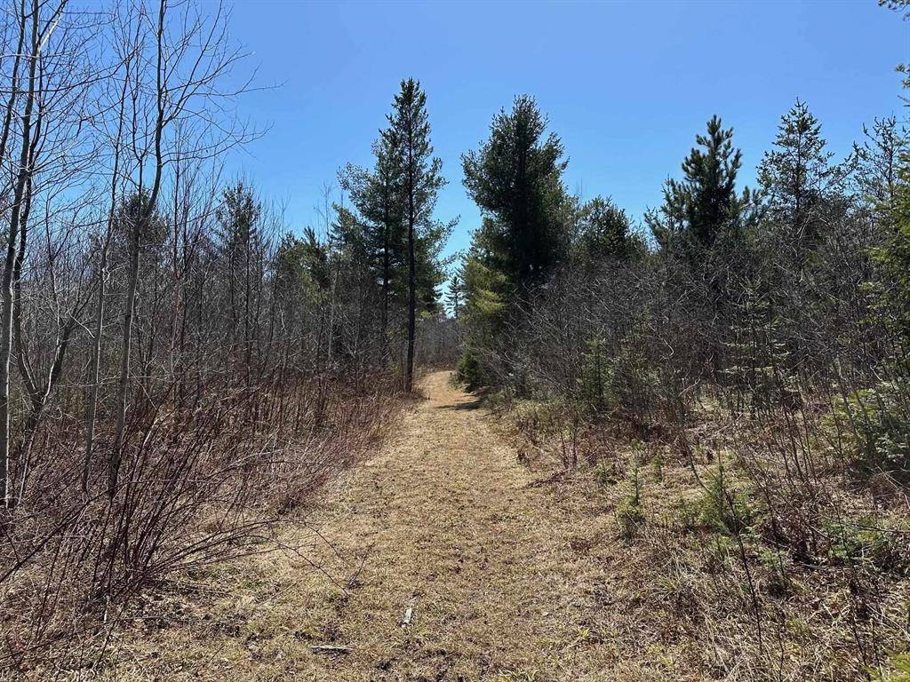Ely Twp, MI 49849,2955 Co Rd CD Road