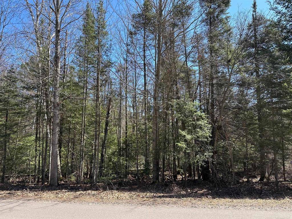 Ely Twp, MI 49849,3007 Co Rd CD Road