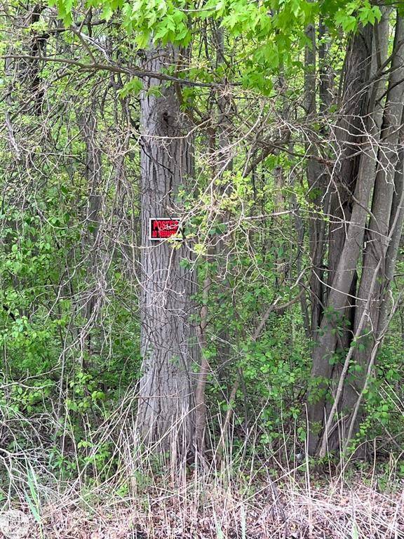 Clay Twp, MI 48001,0 Benoit Road