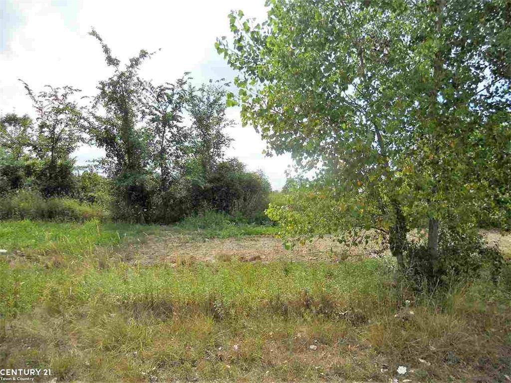 Imlay Twp, MI 48444,0 WINDMILL Lane