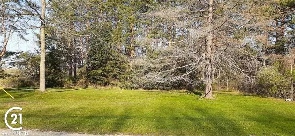 0 W Park (Lot 8) Street, Capac Vlg, MI 48014