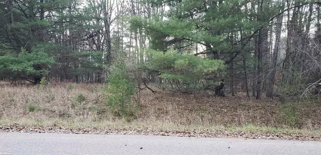 Robindale Way, Gladwin, MI 48624