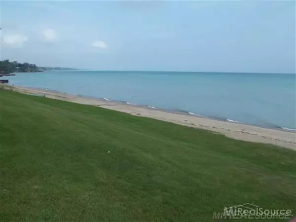 Worth Twp, MI 48450,VL Birchtree Road