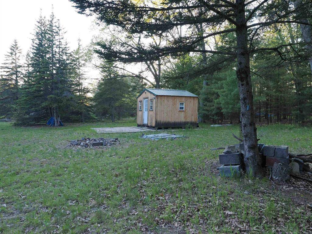 Lyon Twp, MI 48653,XXX W Birch Road