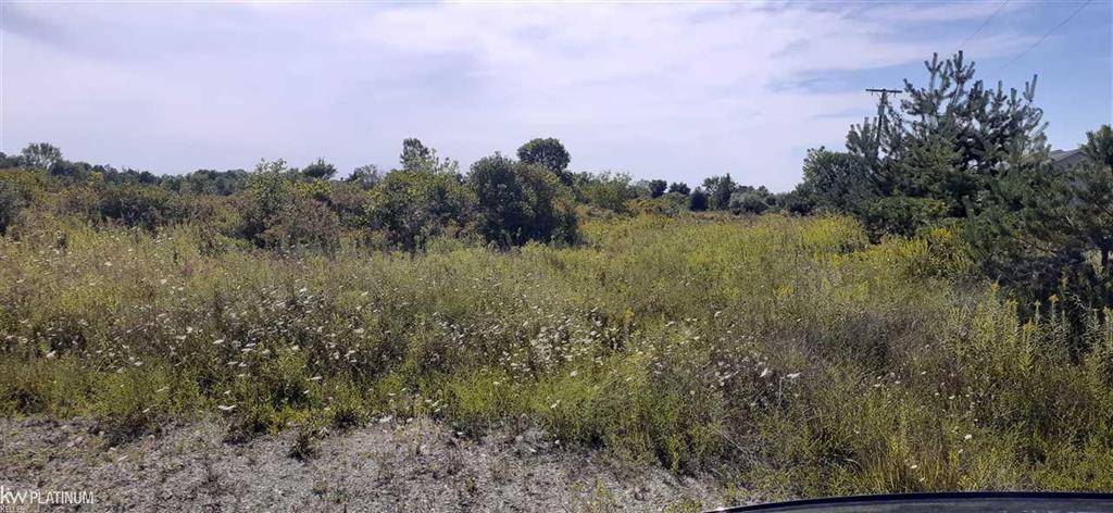 Riley Twp, MI 48041,2969 Reeves Road