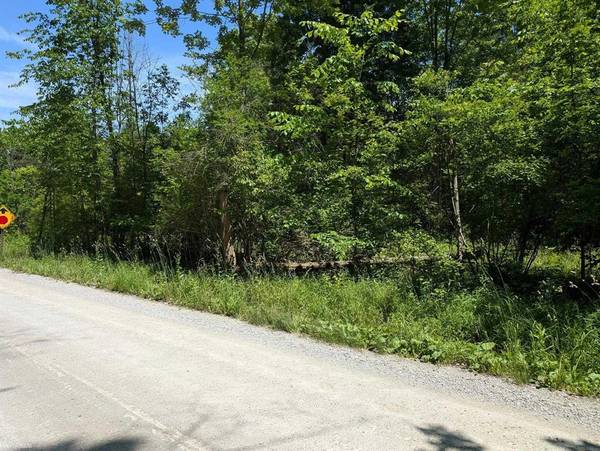 0000 Fox Road, Wales Twp, MI 48027