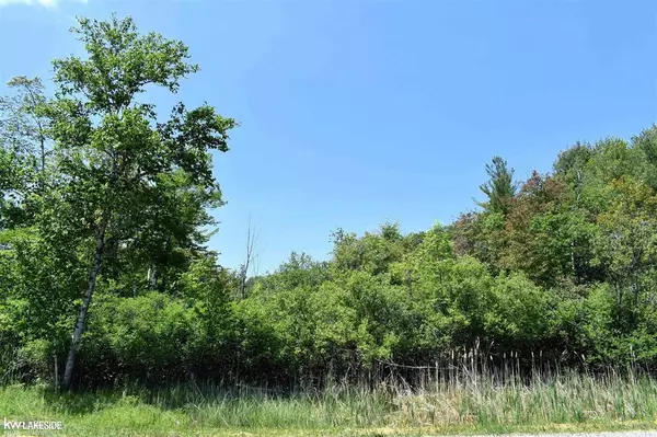 Lake Twp, MI 48467,6789 Oak Beach Road