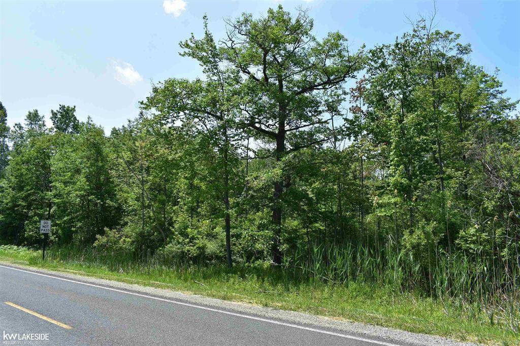 Lake Twp, MI 48467,6789 Oak Beach Road