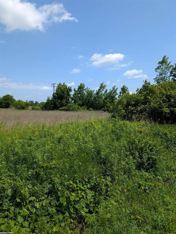0 Dryden Road, Almont Twp, MI 48003