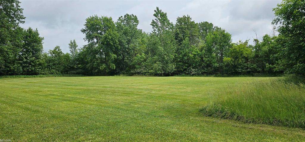 0 Church St. Parcel B Street, Capac Vlg, MI 48014