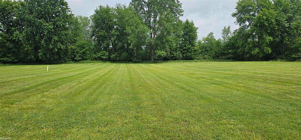 Capac Vlg, MI 48014,0 Church St. Parcel C Street