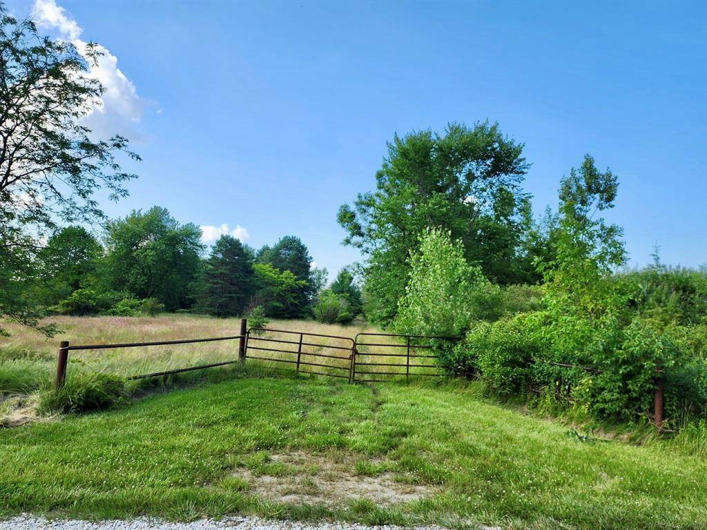 Vacant Springborn Road, Casco Twp, MI 48064