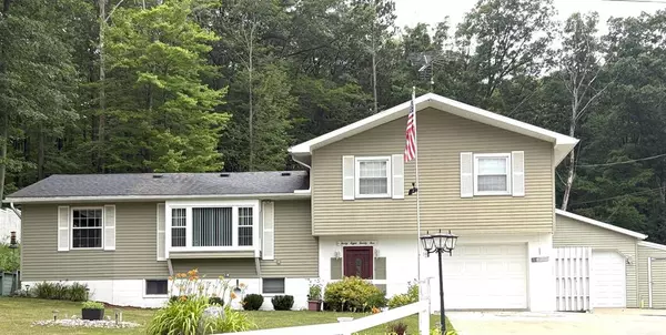 3825 Lapham Drive, Hayes Twp, MI 48625