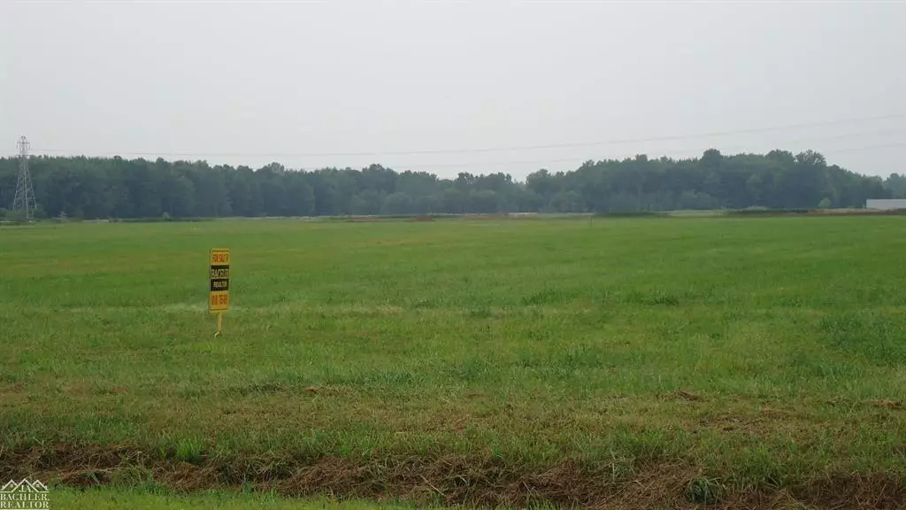 V/L McKinley Road, China Twp, MI 48054
