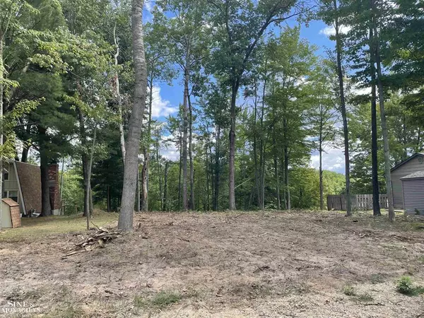 0 S Forest Lake Drive, Alger, MI 48610