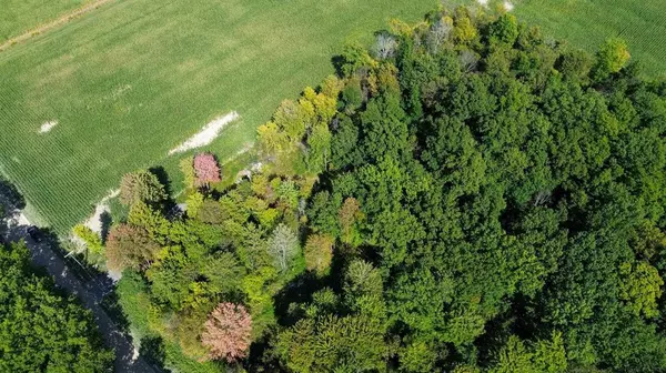 Richmond Twp, MI 48062,0 Lowe Plank Road