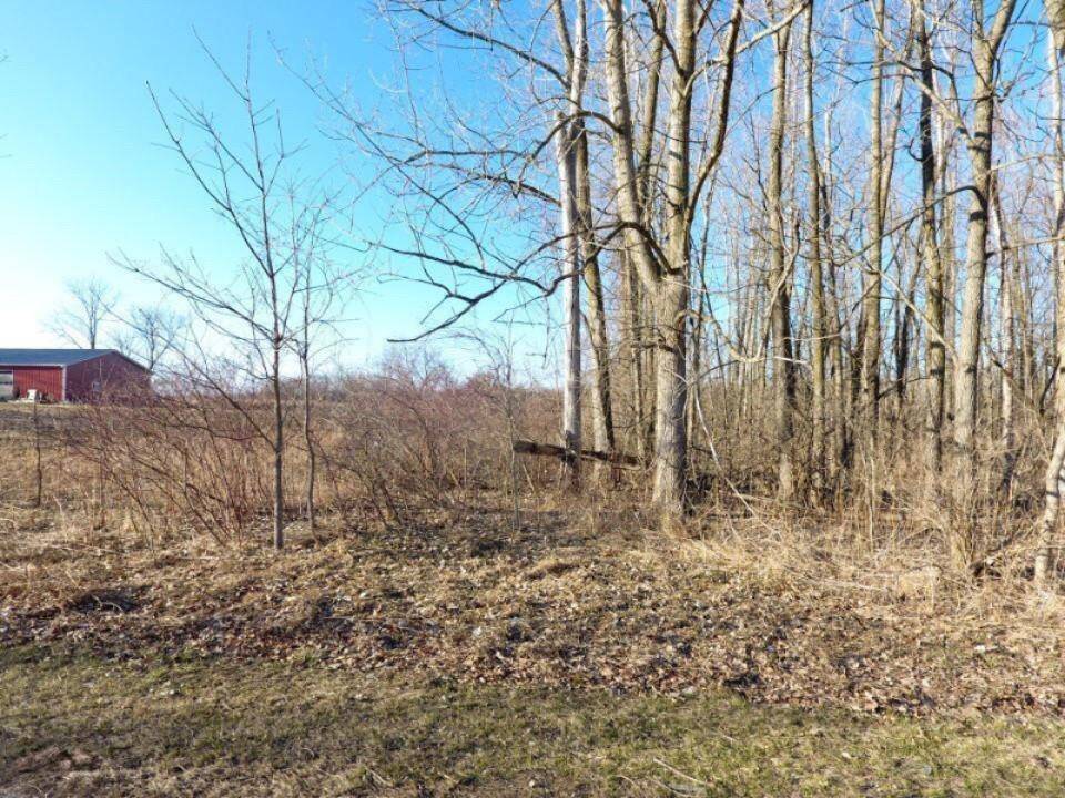 TBD E Main Street, Essex Twp, MI 48853