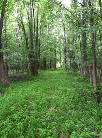 Chapin Twp, MI 48614,22000 W HARRIS RD.