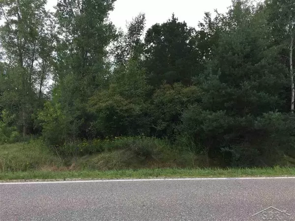 1166 E Freeland Road, Mt. Haley Twp, MI 48637