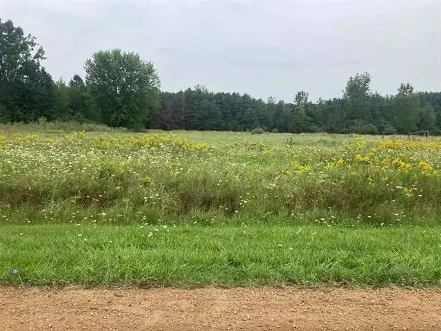 VL Marion, Brant Twp, MI 48614
