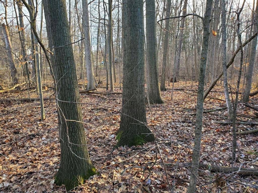 Arboretum Drive, Saginaw Twp, MI 48638