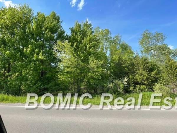 Lot 2 & 3 E Richfield Road, Richfield Twp, MI 48423