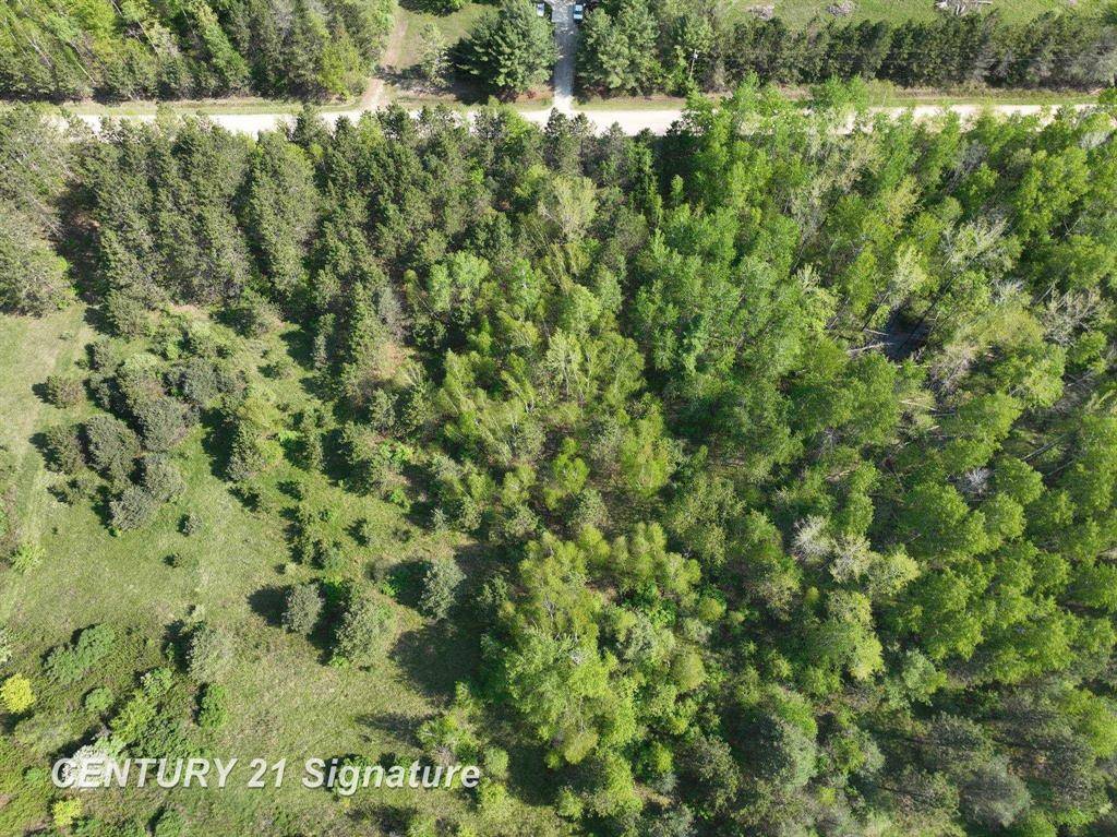 Beaverton Twp, MI 48612,W Lang Road