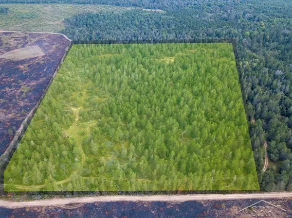 Vienna Twp, MI 49709,VL Kasky Road