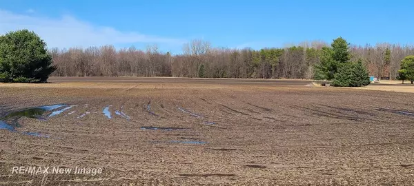 14000 W Burt Road, Brant Twp, MI 48616