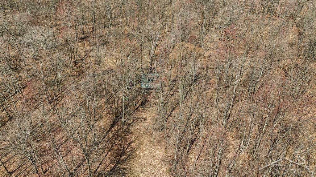 Rose Lake Twp, MI 49655,Sunrise Lake Road - 14679 Drive