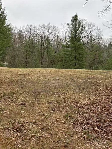 VL Pineview Court, Moffatt Twp, MI 48610