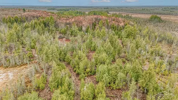 Au Train Twp, MI 49895,N948 Old Plank Road