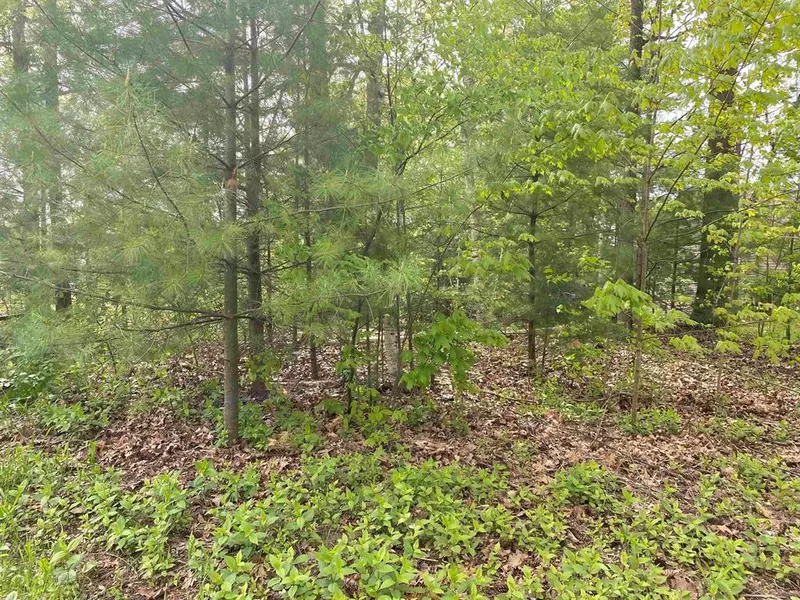 VL Oakridge Drive, Billings Twp, MI 48612