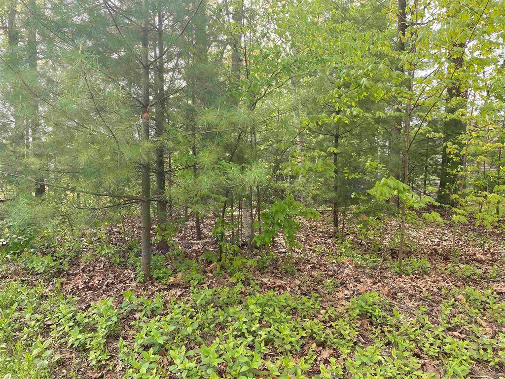 VL Oakridge Drive, Billings Twp, MI 48612